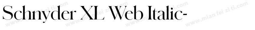 Schnyder XL Web Italic字体转换
